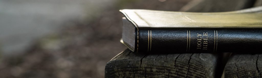 Holy Bible God's Word on a bench