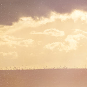 Struggling Relationships Relational Intelligence 2000x600 jpeg