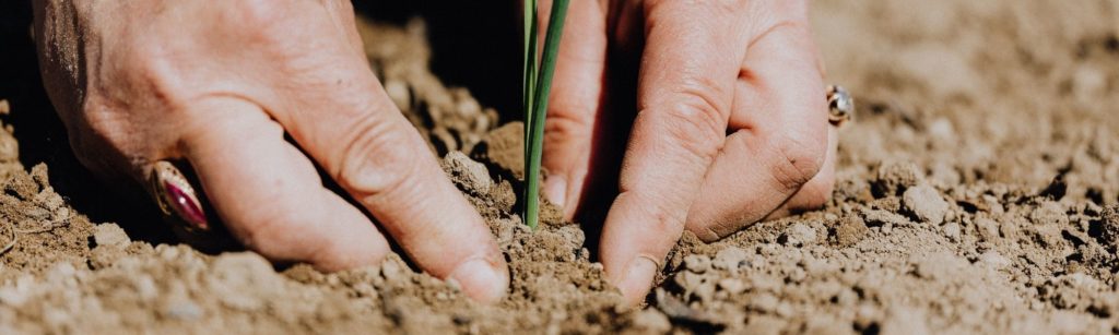 Studying these ten scriptures that reveal God's purpose for His disciples will help direct you to His plan for your life.