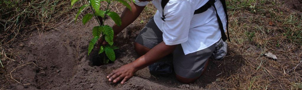 Greatness is achieved through the counter-cultural acts of service, a Father-first attitude, and pure motives.